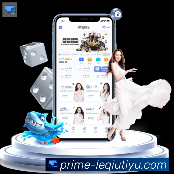 未来规划